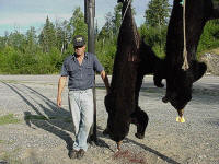 Bear Hunting at Spruce Shilling Camp